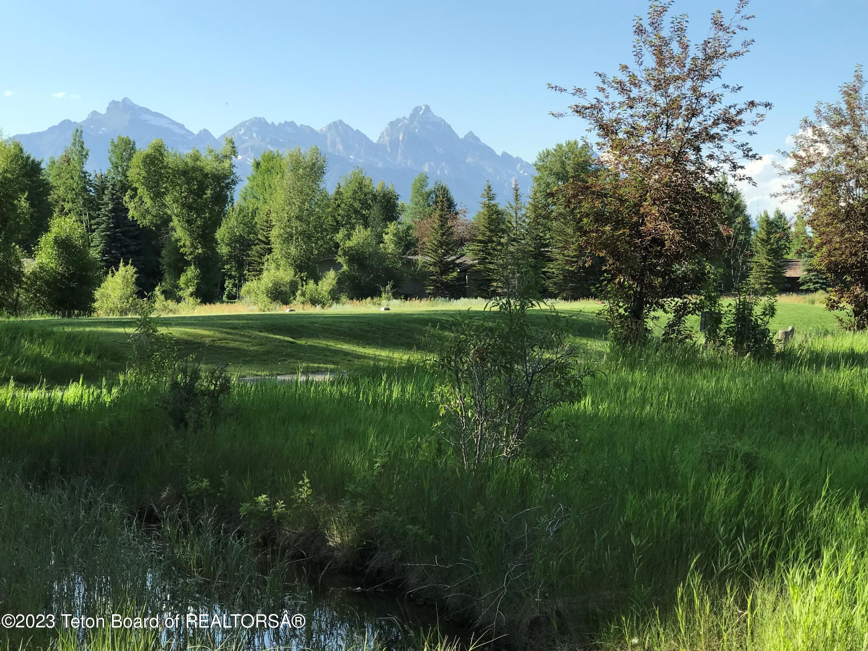 775 Wild Rye Drive Jackson, WY 83001 - Photo 3 of 18 Grand Teton views