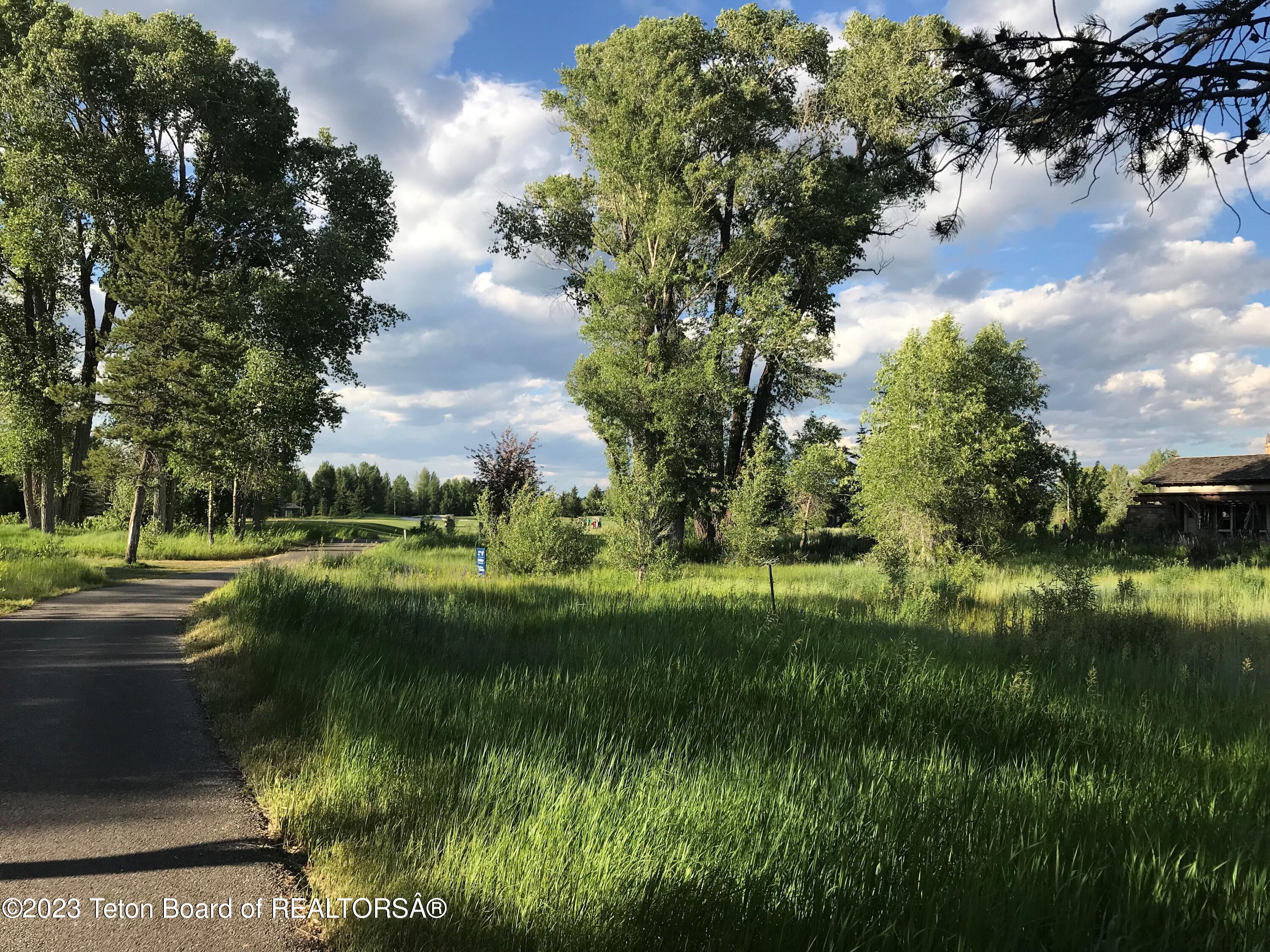 775 Wild Rye Drive Jackson, WY 83001 - Photo 5 of 18 pathway