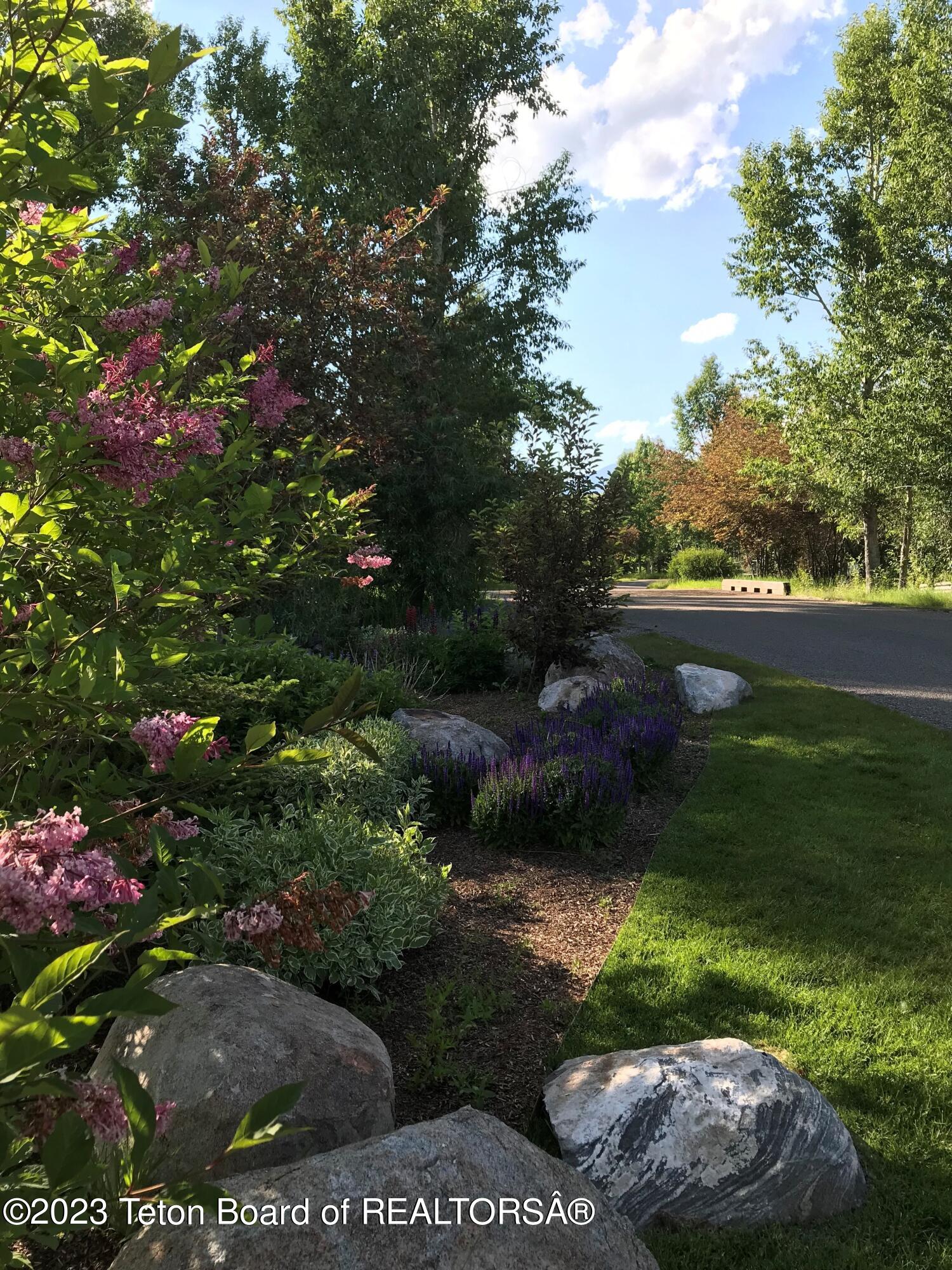 775 Wild Rye Drive Jackson, WY 83001 - Photo 9 of 18 Landcaping along subdivision entryway