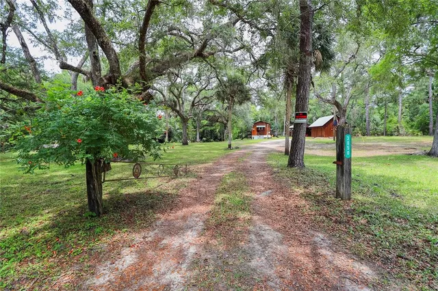 a view of a park with large trees