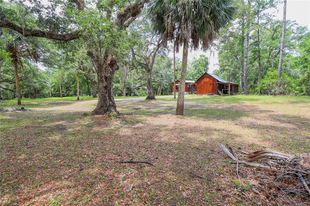 3850 Southeast 22 Court Bronson, FL 32621 - Photo 13 of 40 a view of a house with a yard and trees
