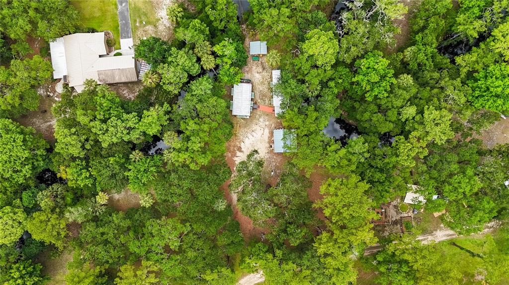 3850 Southeast 22 Court Bronson, FL 32621 - Photo 39 of 40 a view of a house in a yard with plants and large trees