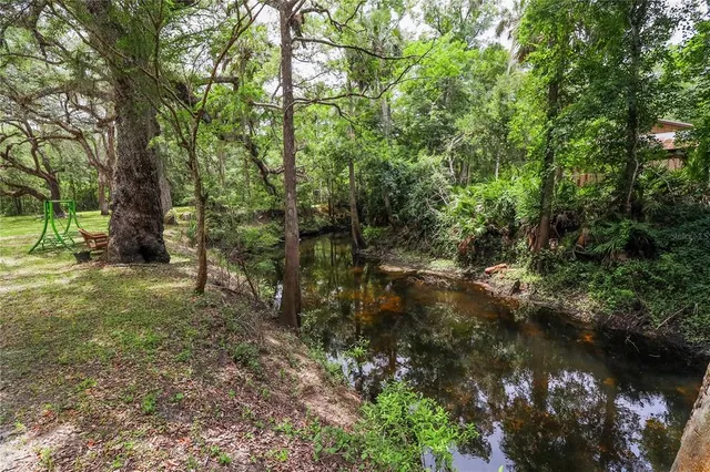 a view of a forest with trees