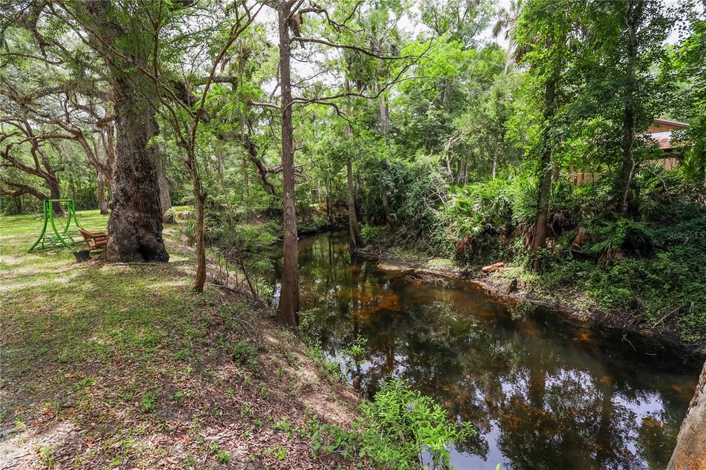 3850 Southeast 22 Court Bronson, FL 32621 - Photo 8 of 40 a view of a forest with trees