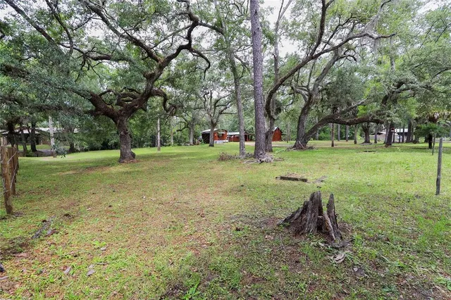a view of a park with large trees