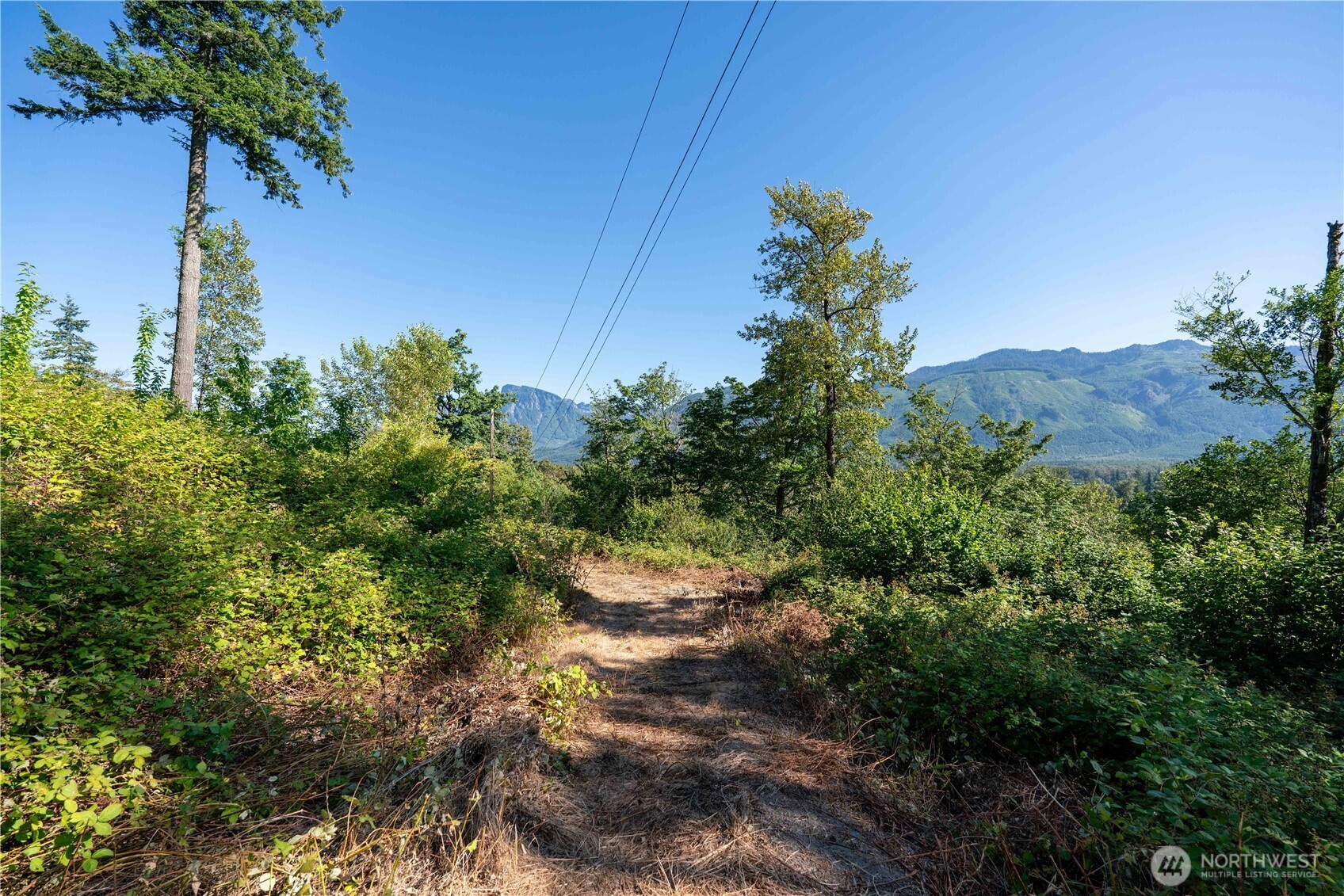 14405 Whiteman Road Gold Bar, WA 98251 - Photo 15 of 37