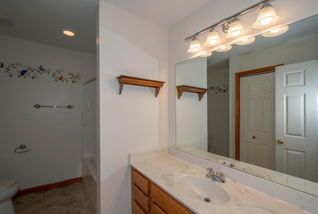 5224 Laurel Ridge Young Harris, GA 30582 - Photo 28 of 39 a bathroom with a sink vanity and shower