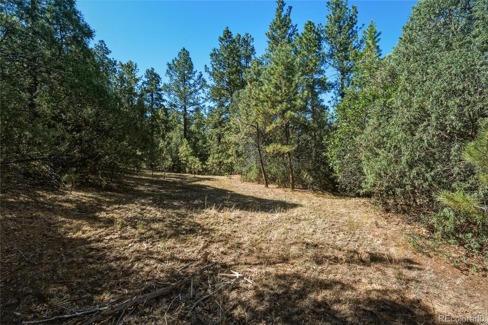 93 Blackhawk Ranch Walsenburg, CO 81089 - Photo 29 of 44