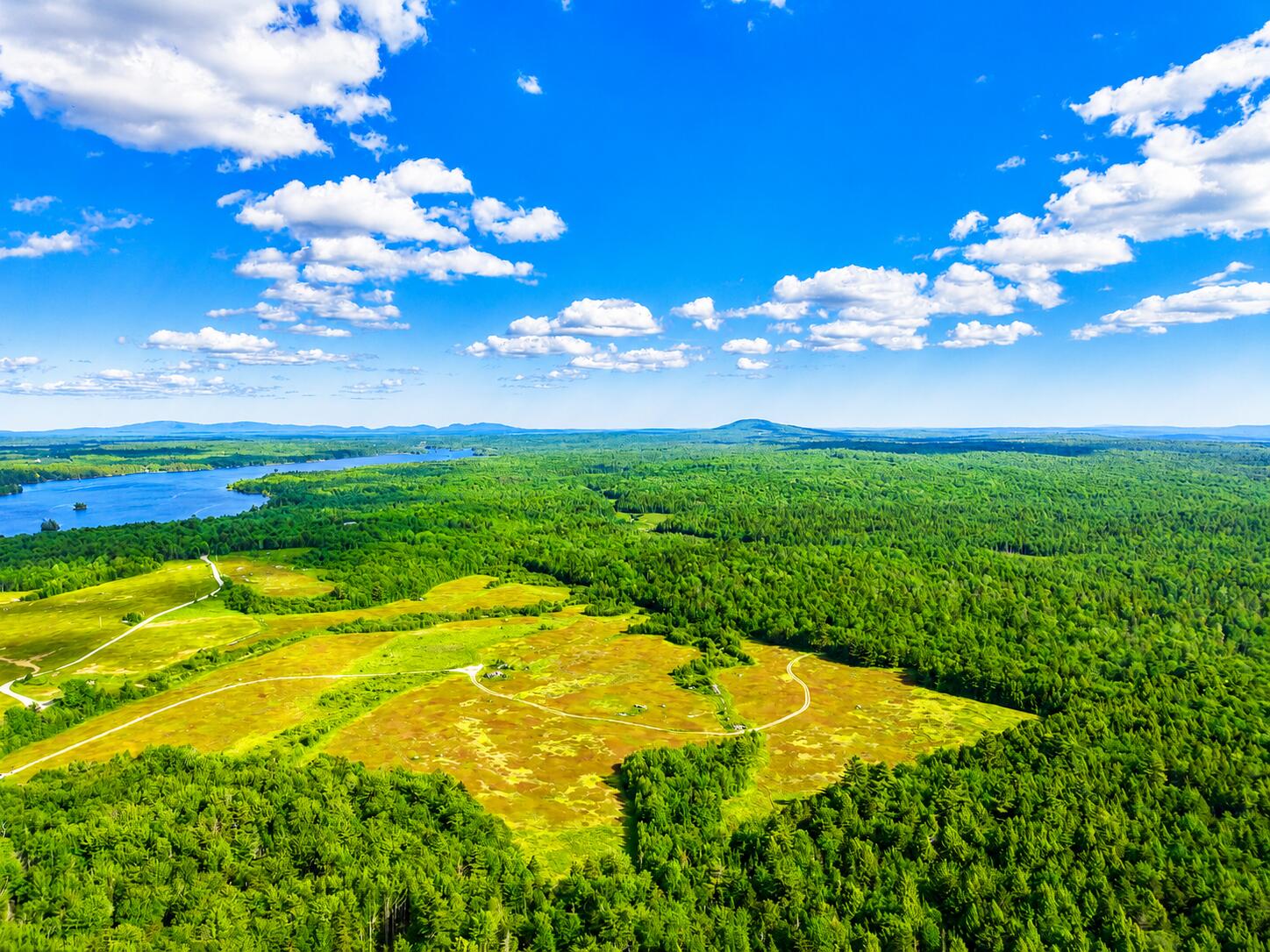 Map19-lot28 Leach Road Penobscot, ME 04476 - Photo 11 of 16 MAP19LOT28 Leach Road