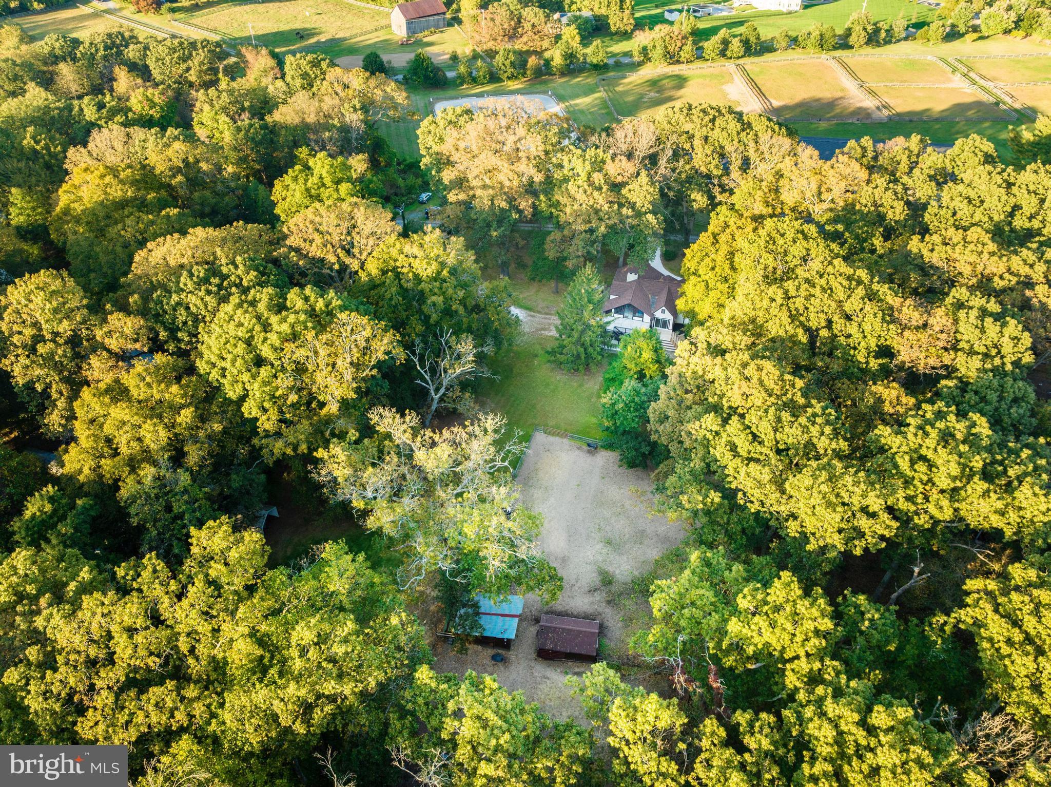 1709 Governor Bridge Road Davidsonville, MD 21035 - Photo 23 of 25 Wooded & private lot