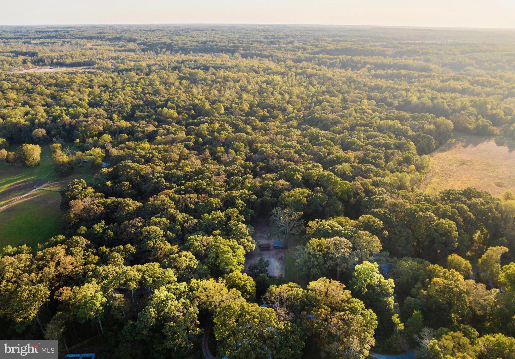 1709 Governor Bridge Road Davidsonville, MD 21035 - Photo 24 of 25 Scenic Davidsonville - only 30 minutes to DC!
