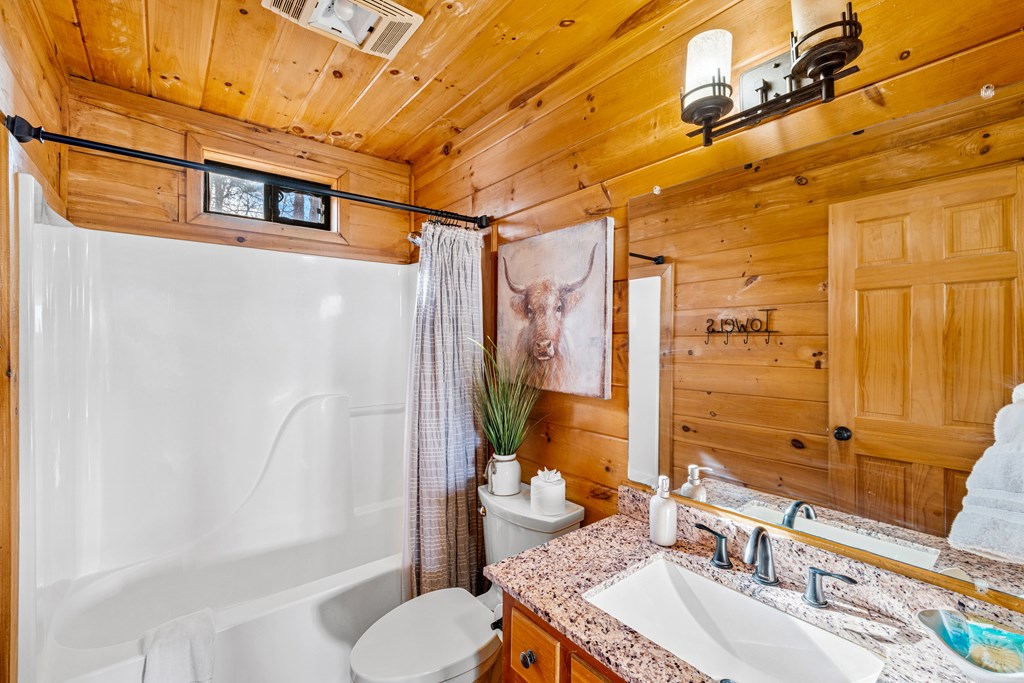 907 Ripshin Mountain Road Blue Ridge, GA 30513 - Photo 23 of 55 a bathroom with a sink toilet and shower