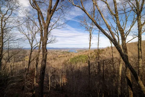$987,000 | 907 Ripshin Mountain Road, Blue Ridge, GA 30513
