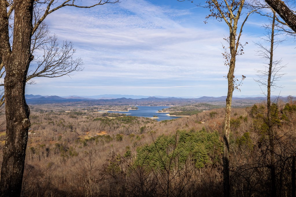 907 Ripshin Mountain Road Blue Ridge, GA 30513 - Photo 50 of 55 a view of a forest with a mountain
