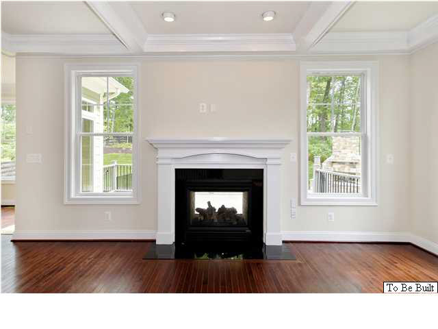 12 Timber Ridge Court Gordonsville, VA 22942 - Photo 10 of 31 a living room with a fireplace a window and a fireplace