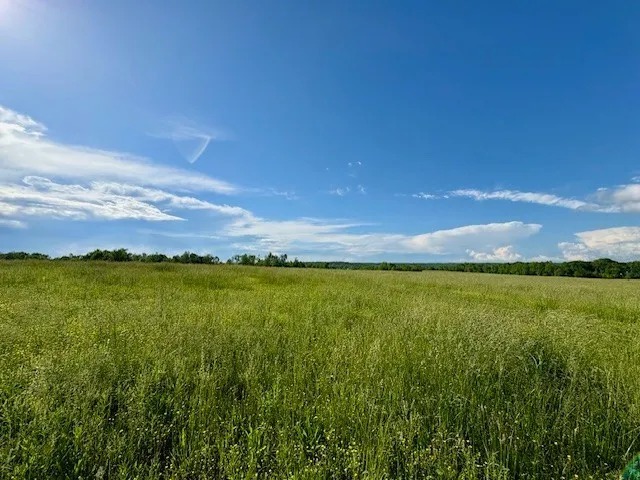 $1,086,500 | 1 Topsy Road, Waynesboro, TN 38485