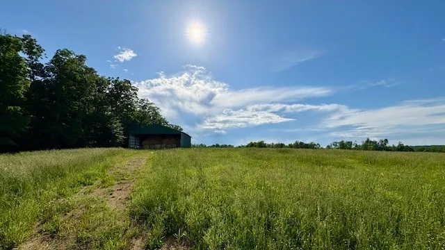 $1,086,500 | 1 Topsy Road, Waynesboro, TN 38485