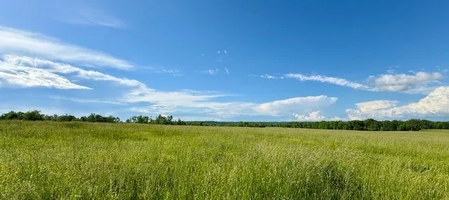 $1,086,500 | 1 Topsy Road, Waynesboro, TN 38485