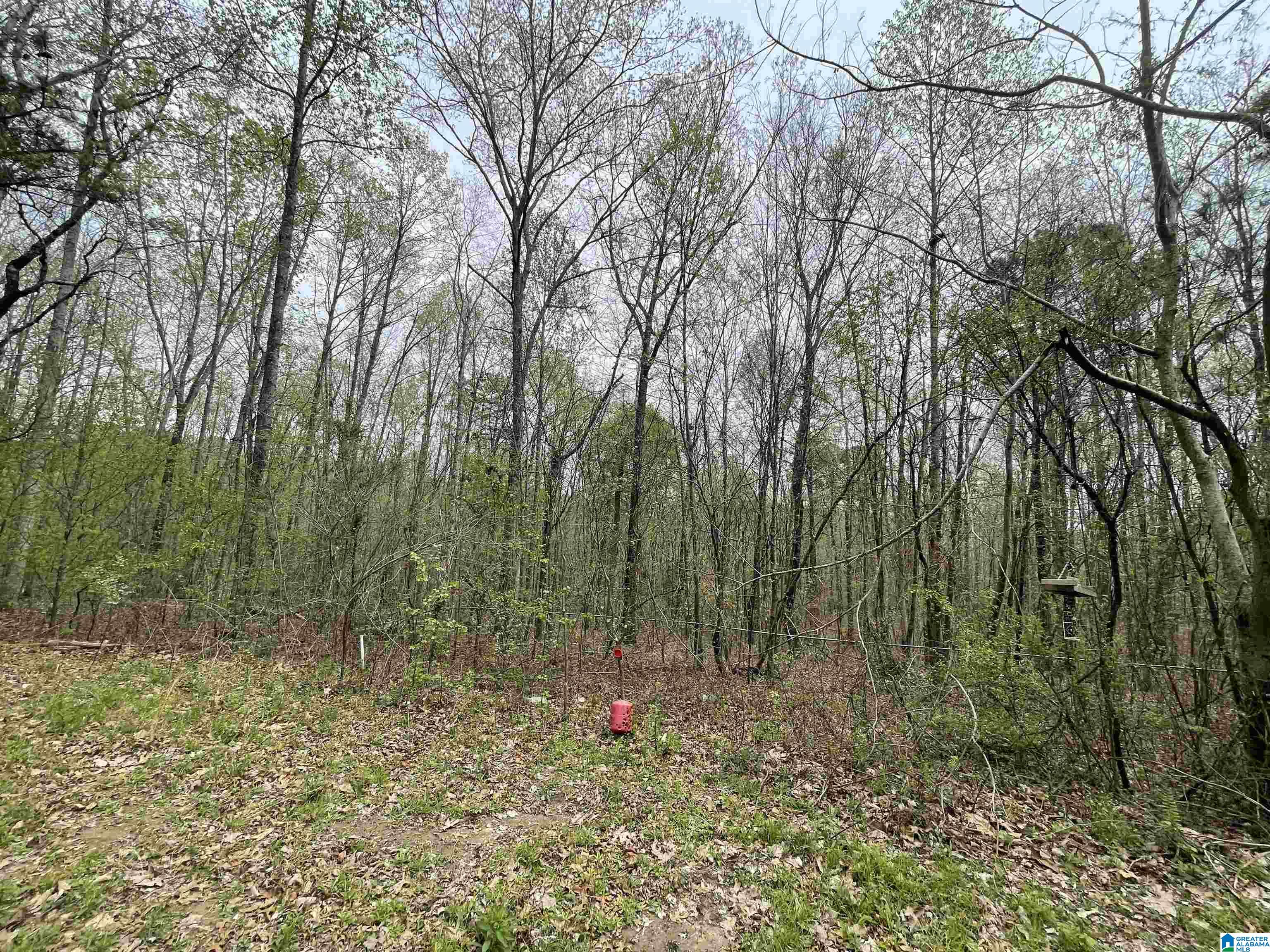 212 Pebble Lane Hayden, AL 35079 - Photo 29 of 33