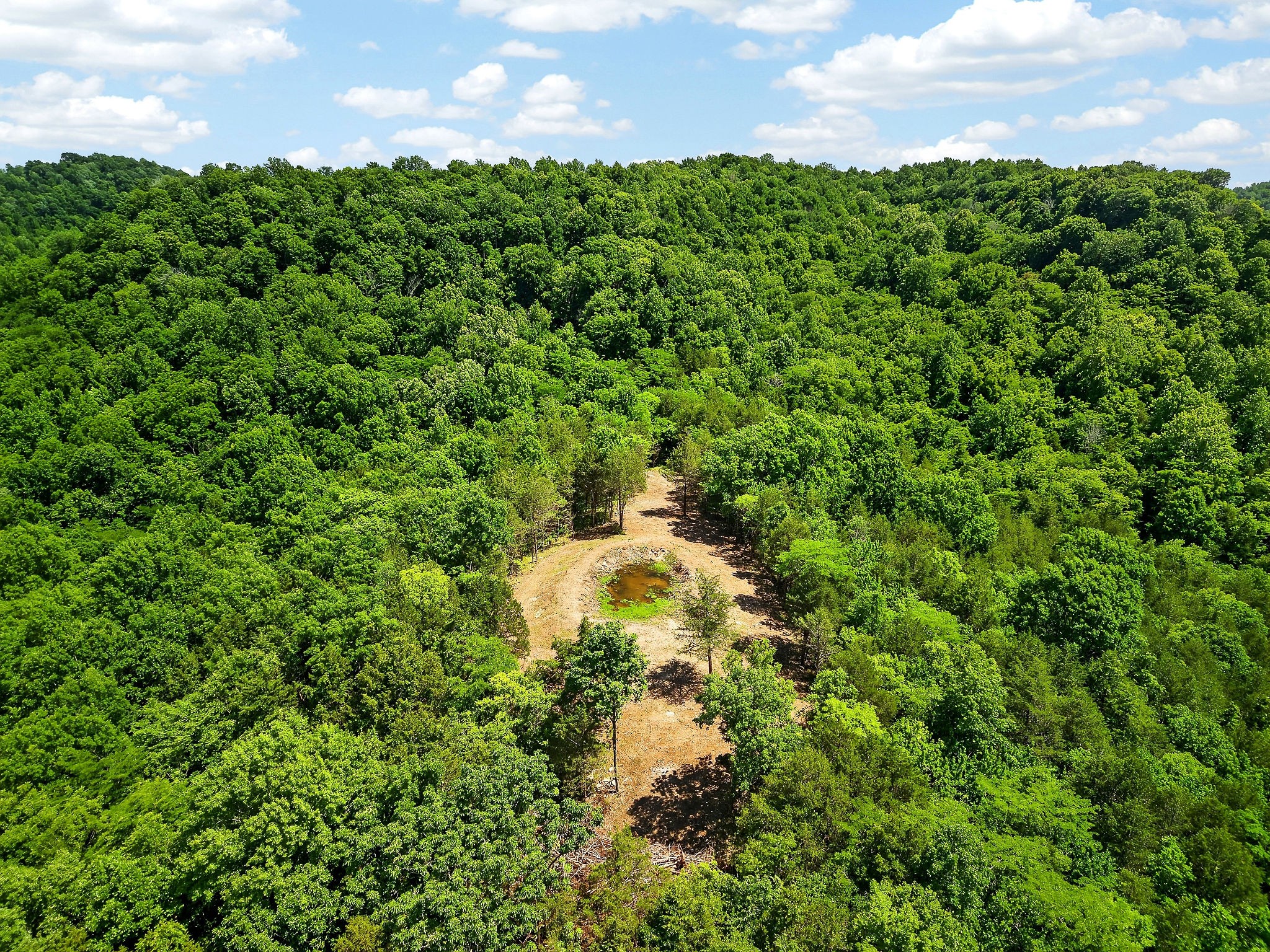 2926 Bryant Ridge Road Baxter, TN 38544 - Photo 59 of 64