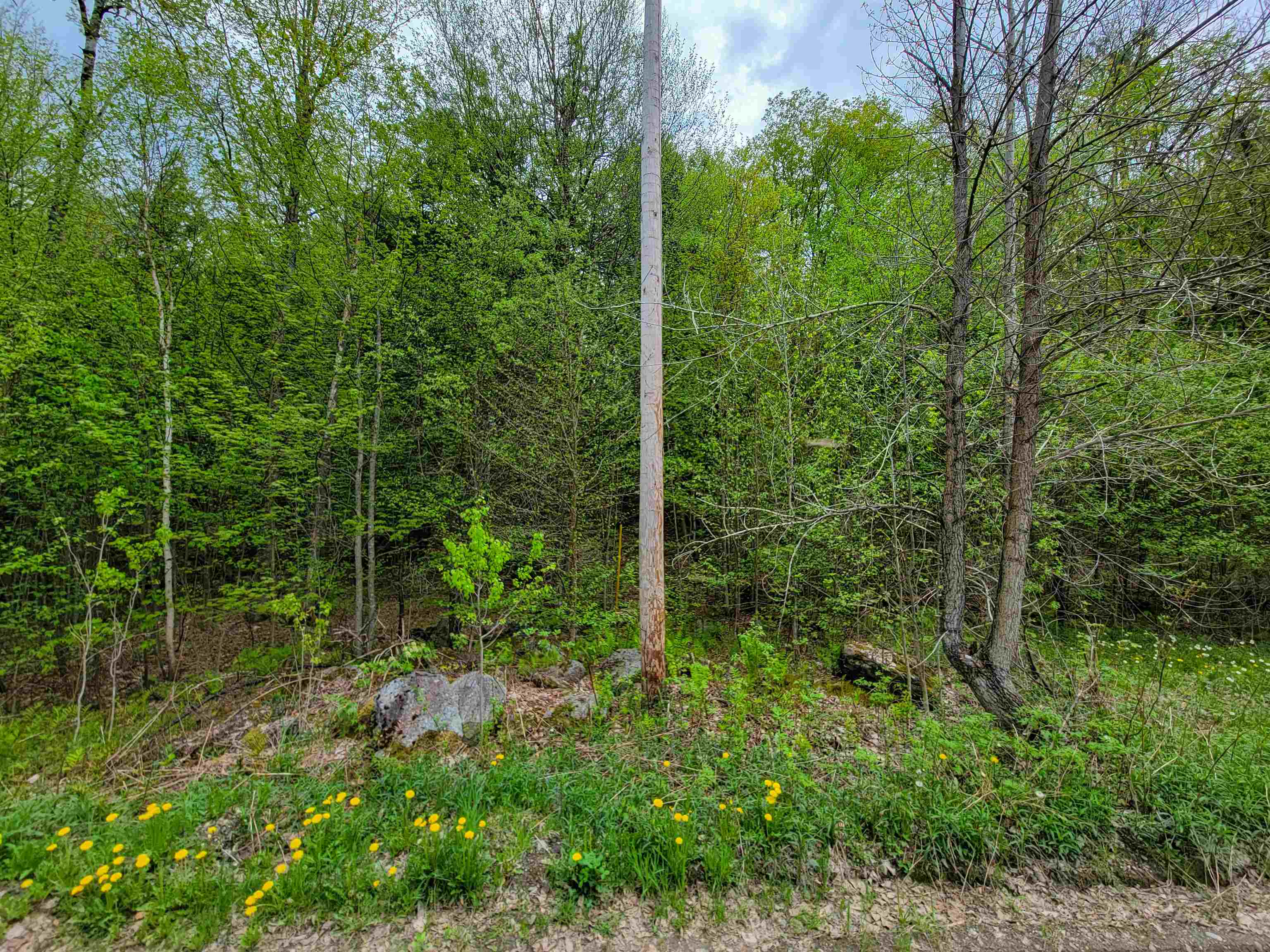 660 Brookview Lane Wolcott, VT 05680 - Photo 18 of 60
