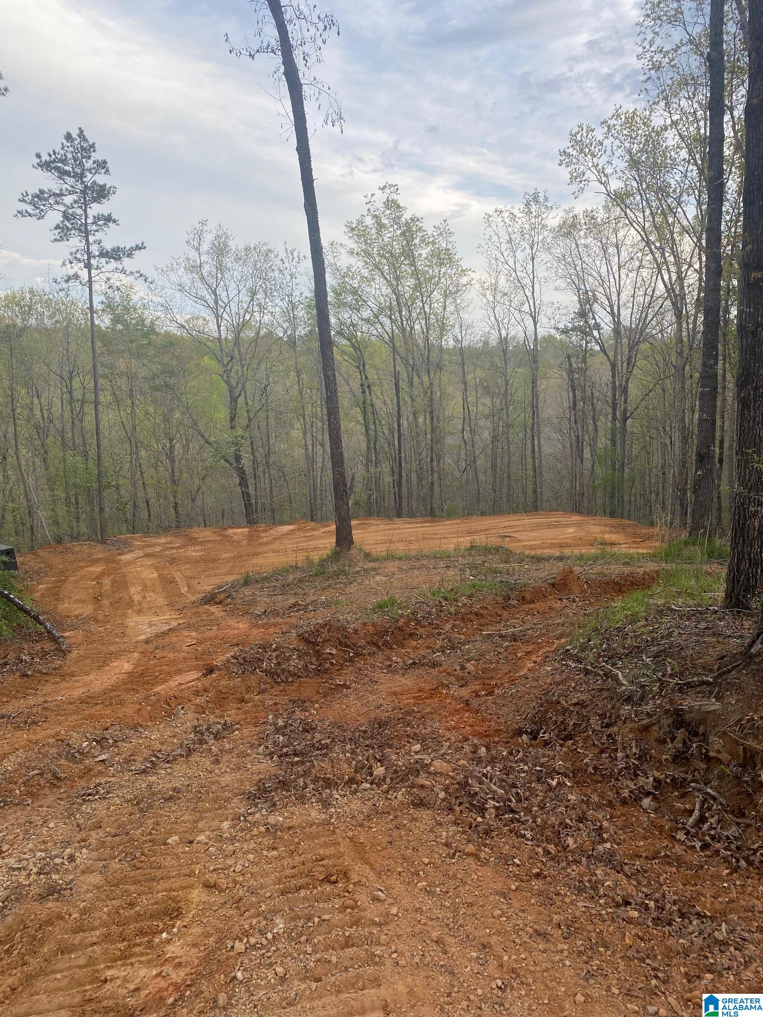 707 Sequoyah Road, Unit 1 Pell City, AL 35128 - Photo 2 of 18