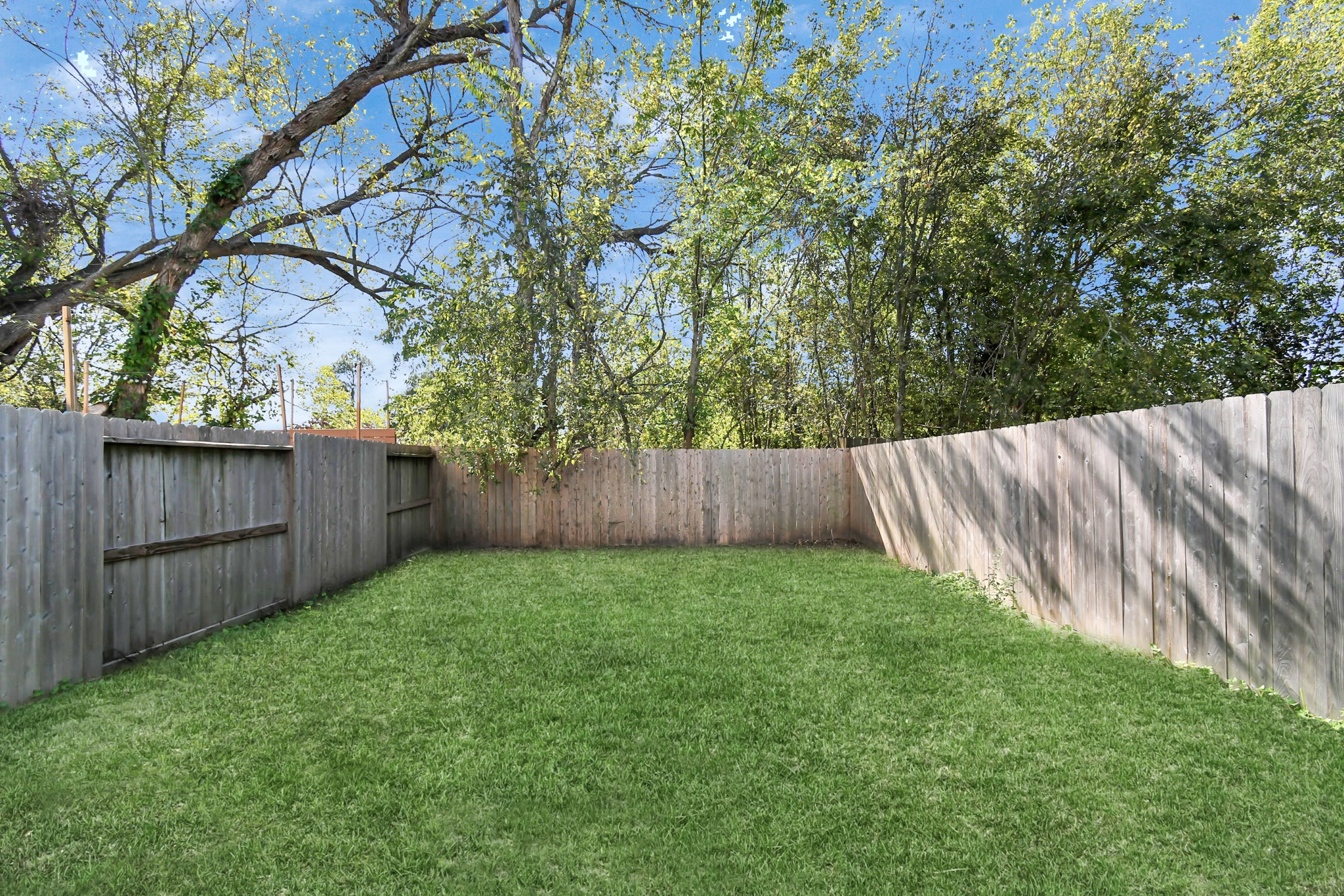 3538 Noah Street Houston, TX 77021 - Photo 26 of 33 a view of a yard with wooden fence