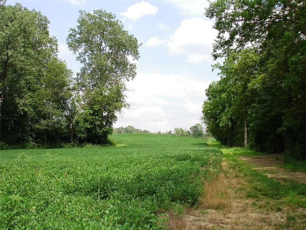 10-acres Selma Road Springfield, OH 45505 - Photo 2 of 8