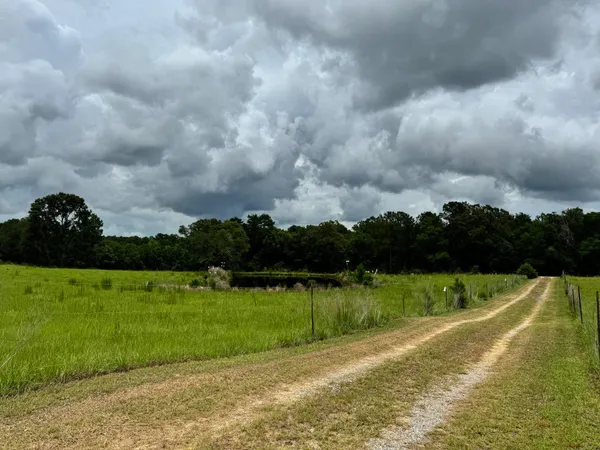 $305,000 | 5901 M & K Lane, Florala, AL 36442