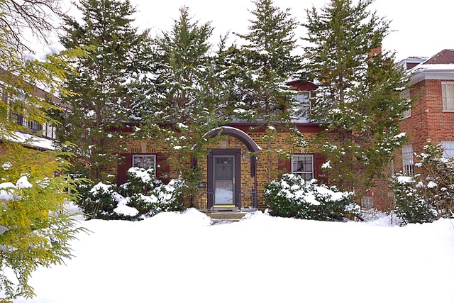 489 Uvedale Road Riverside, IL 60546 - Photo 1 of 25 a view of a tree in front of a house