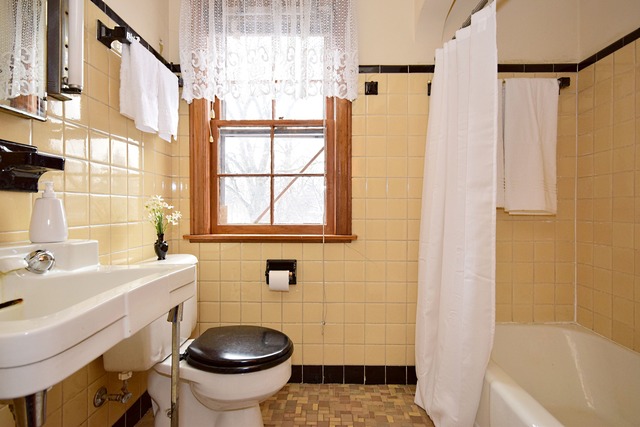 489 Uvedale Road Riverside, IL 60546 - Photo 18 of 25 a bathroom with a sink a toilet and a bathtub