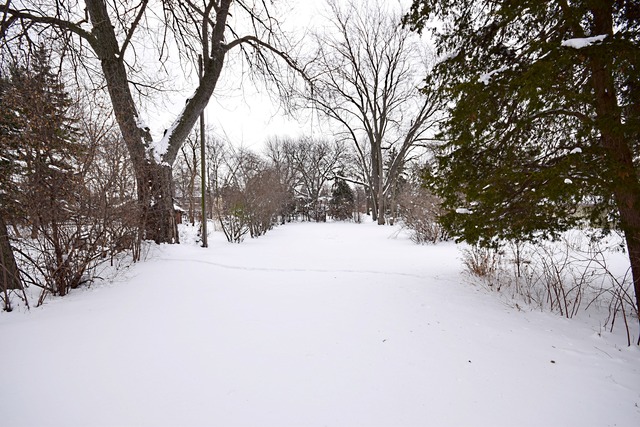 489 Uvedale Road Riverside, IL 60546 - Photo 21 of 25 a view of snow covered with trees