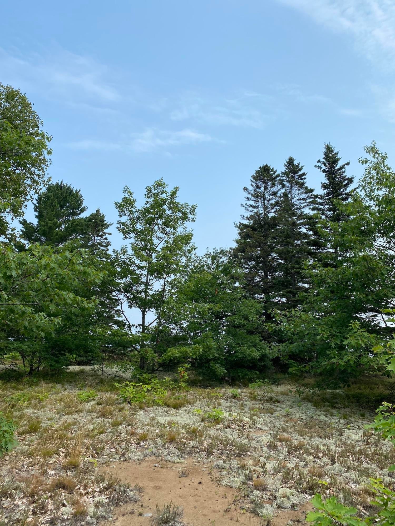 Tbd South Bay Mills Point Road Brimley, MI 49715 - Photo 10 of 29 Gallery Image 10