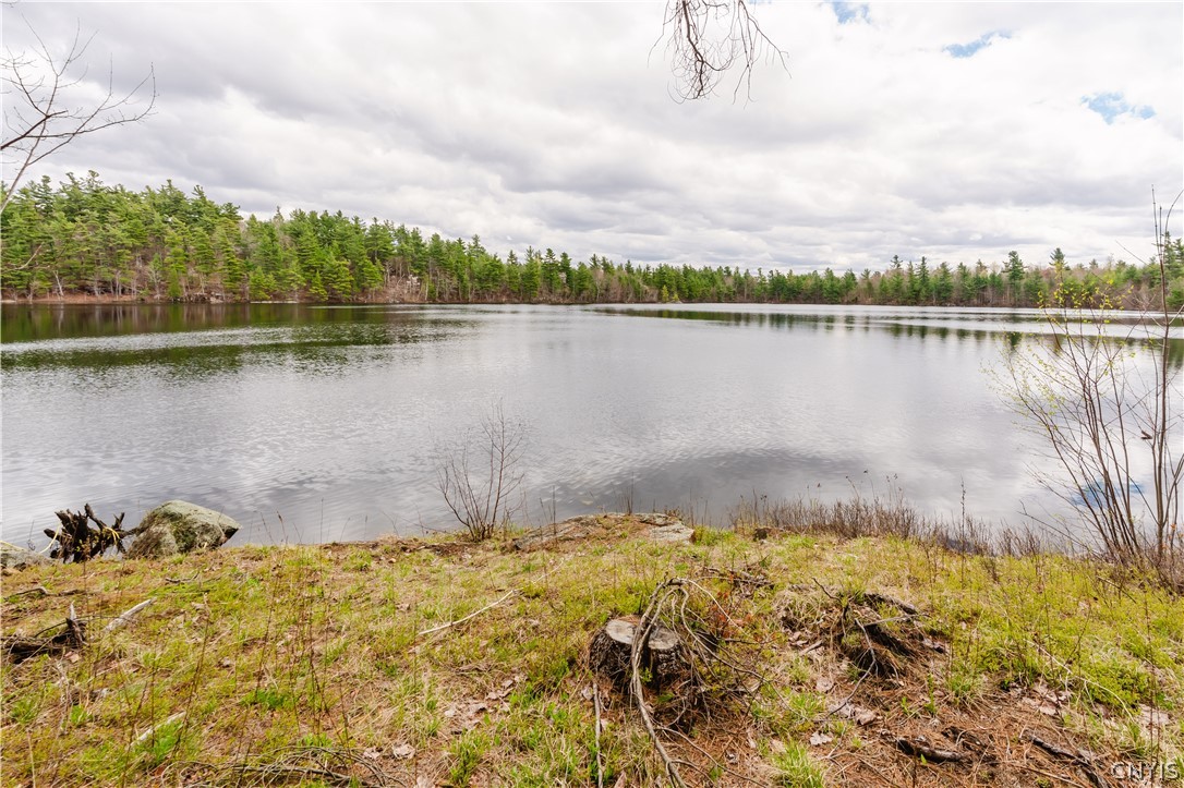 Lot 1 Bingo Road Edwards, NY 13635 - Photo 4 of 28