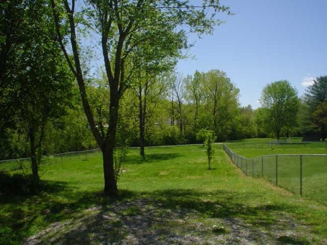 115 Tusculum Road Antioch, TN 37013 - Photo 8 of 8 Backyard View