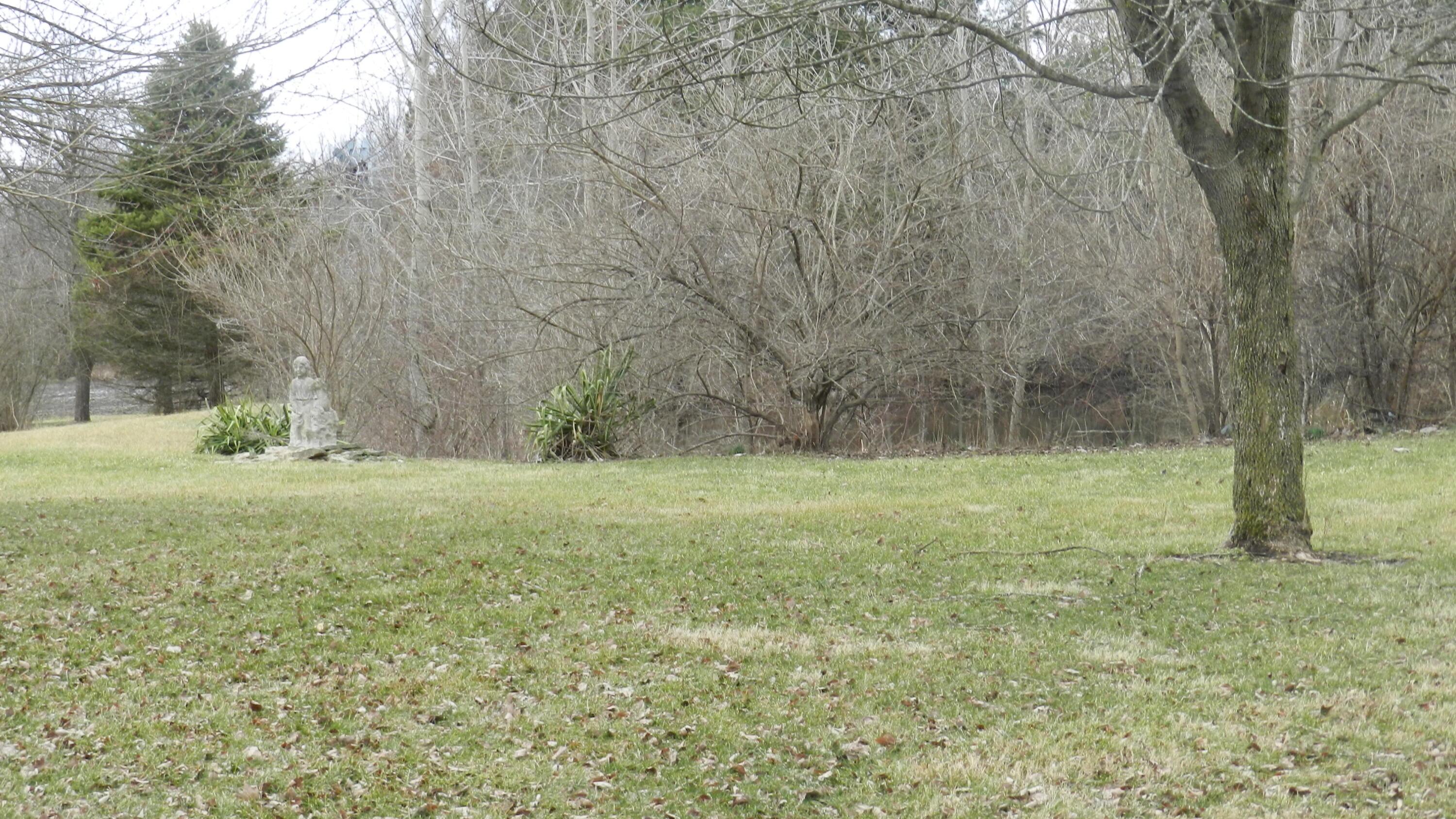 2595 Smeltzer Road Marion, OH 43302 - Photo 24 of 65 DSCN5173