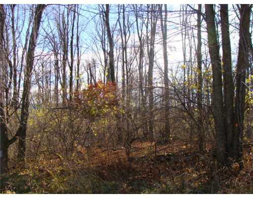 0 Co Road Bellefontaine, OH 43311 - Photo 7 of 12