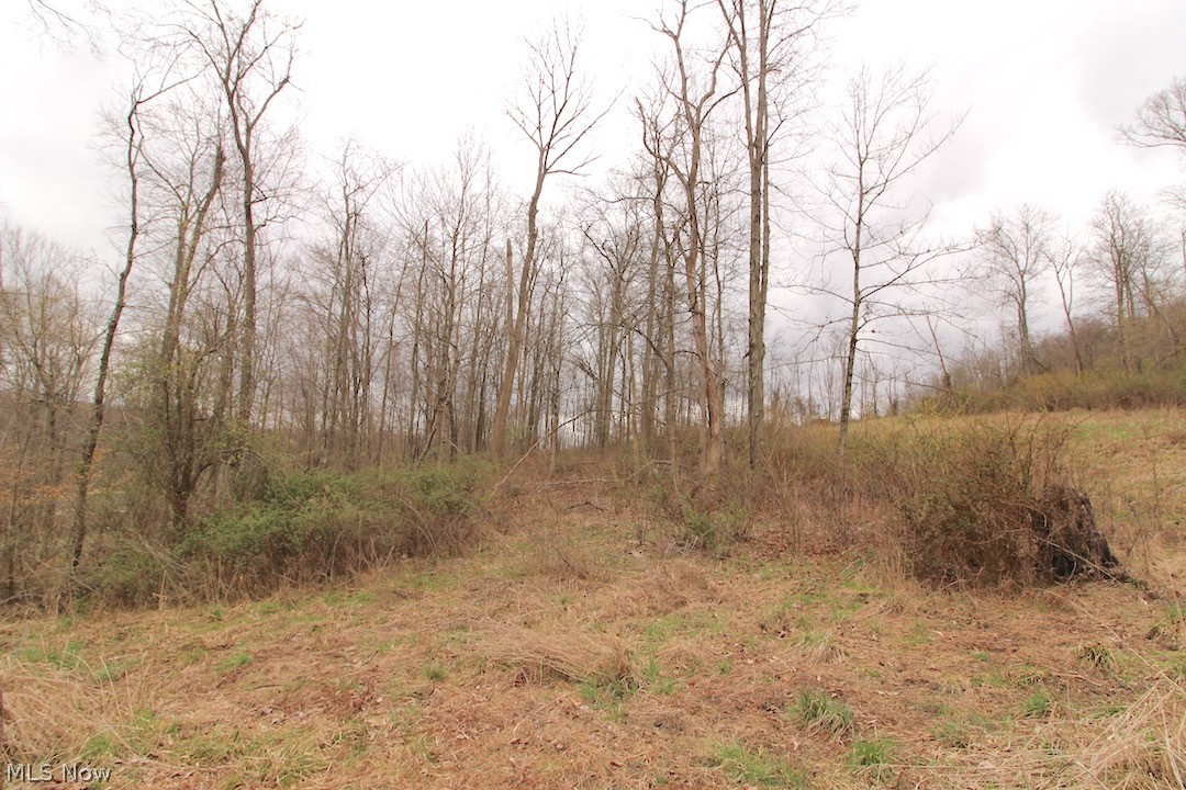 53483 Opossum Run Road Senecaville, OH 43780 - Photo 8 of 25 Gallery Image 8