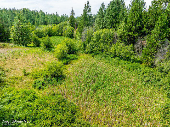197 Schneiders Road Sagle, ID 83860 - Photo 19 of 54 029_bb193354-19_248