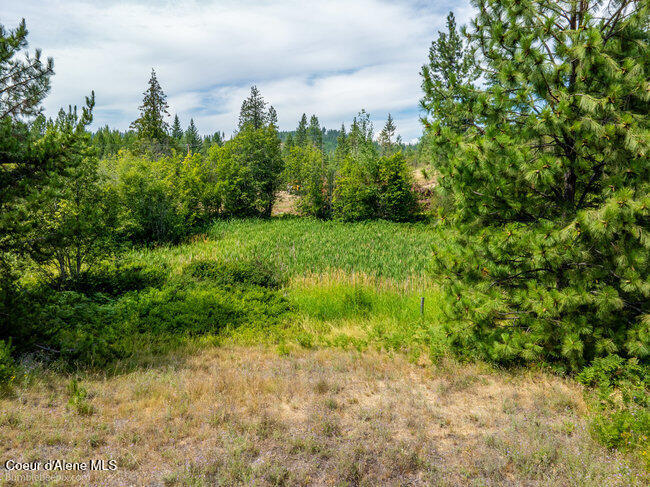 197 Schneiders Road Sagle, ID 83860 - Photo 21 of 54 033_bb193354-21_473