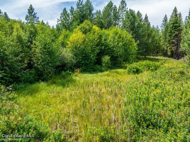 197 Schneiders Road Sagle, ID 83860 - Photo 25 of 54 041_bb193354-25_953
