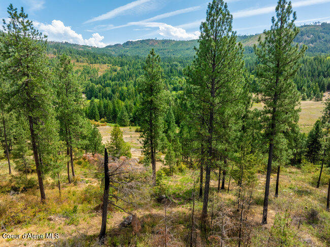 197 Schneiders Road Sagle, ID 83860 - Photo 32 of 54 055_bb193354-32_966