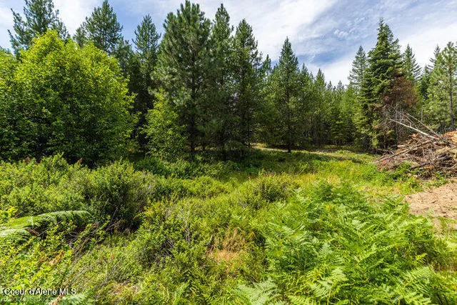 $429,000 | 197 Schneiders Road, Sagle, ID 83860