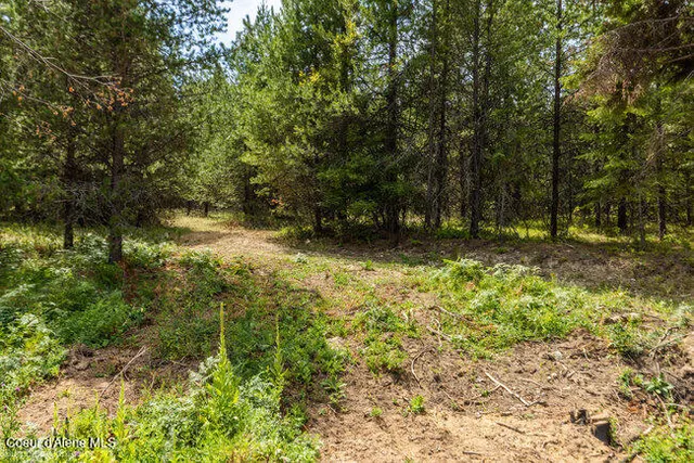$429,000 | 197 Schneiders Road, Sagle, ID 83860