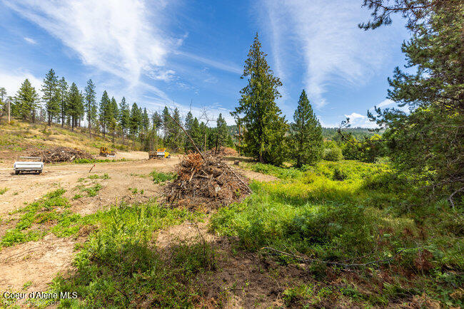 197 Schneiders Road Sagle, ID 83860 - Photo 39 of 54 069_bb193354-39_614
