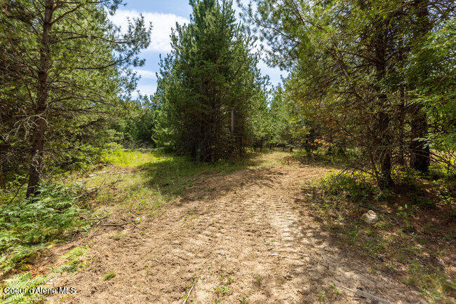 197 Schneiders Road Sagle, ID 83860 - Photo 40 of 54 071_bb193354-40_59
