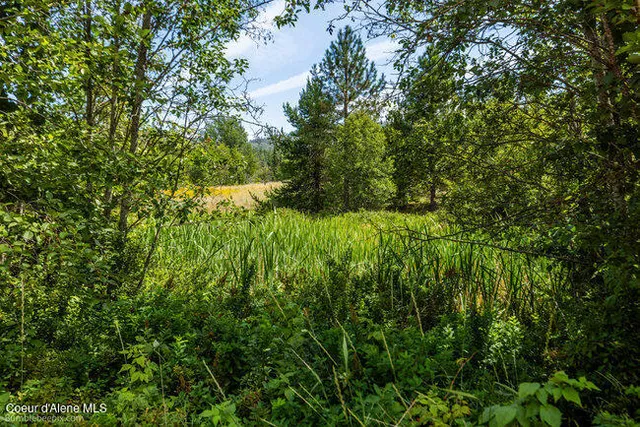 $429,000 | 197 Schneiders Road, Sagle, ID 83860