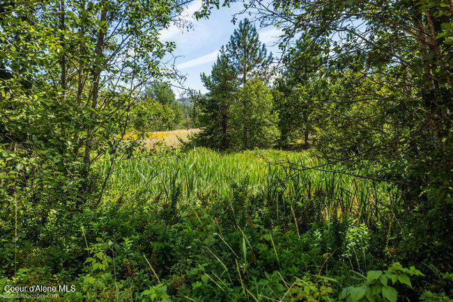 197 Schneiders Road Sagle, ID 83860 - Photo 42 of 54 075_bb193354-42_747