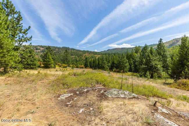 197 Schneiders Road Sagle, ID 83860 - Photo 43 of 54 077_bb193354-43_429