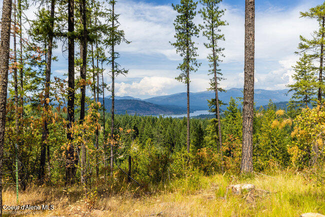 197 Schneiders Road Sagle, ID 83860 - Photo 44 of 54 079_bb193354-44_695